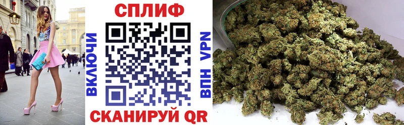 Купить наркотик аптеки Кировск Каннабис  Галлюциногенные грибы  Меф мяу мяу  АМФЕТАМИН 