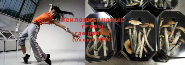 прущие грибы Бородино