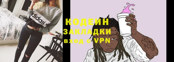 прущие грибы Бородино