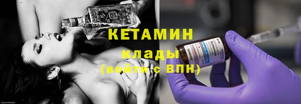 прущие грибы Бородино