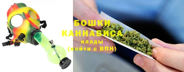 прущие грибы Бородино