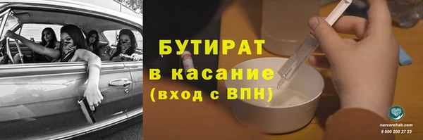 прущие грибы Бородино