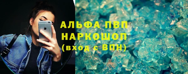 прущие грибы Бородино